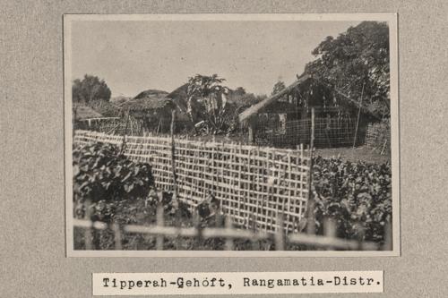 204.JPG